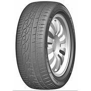 Kapsen RW505 IceMax 205/55 R16 91V