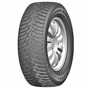 Kapsen RW506 IceMax 175/70 R13 82T